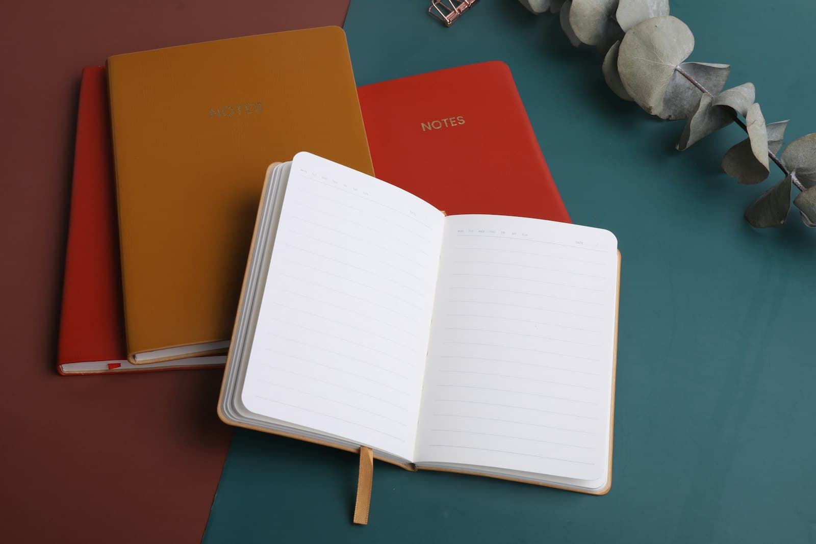 Three notebooks side by side on a table, one open on lined pages