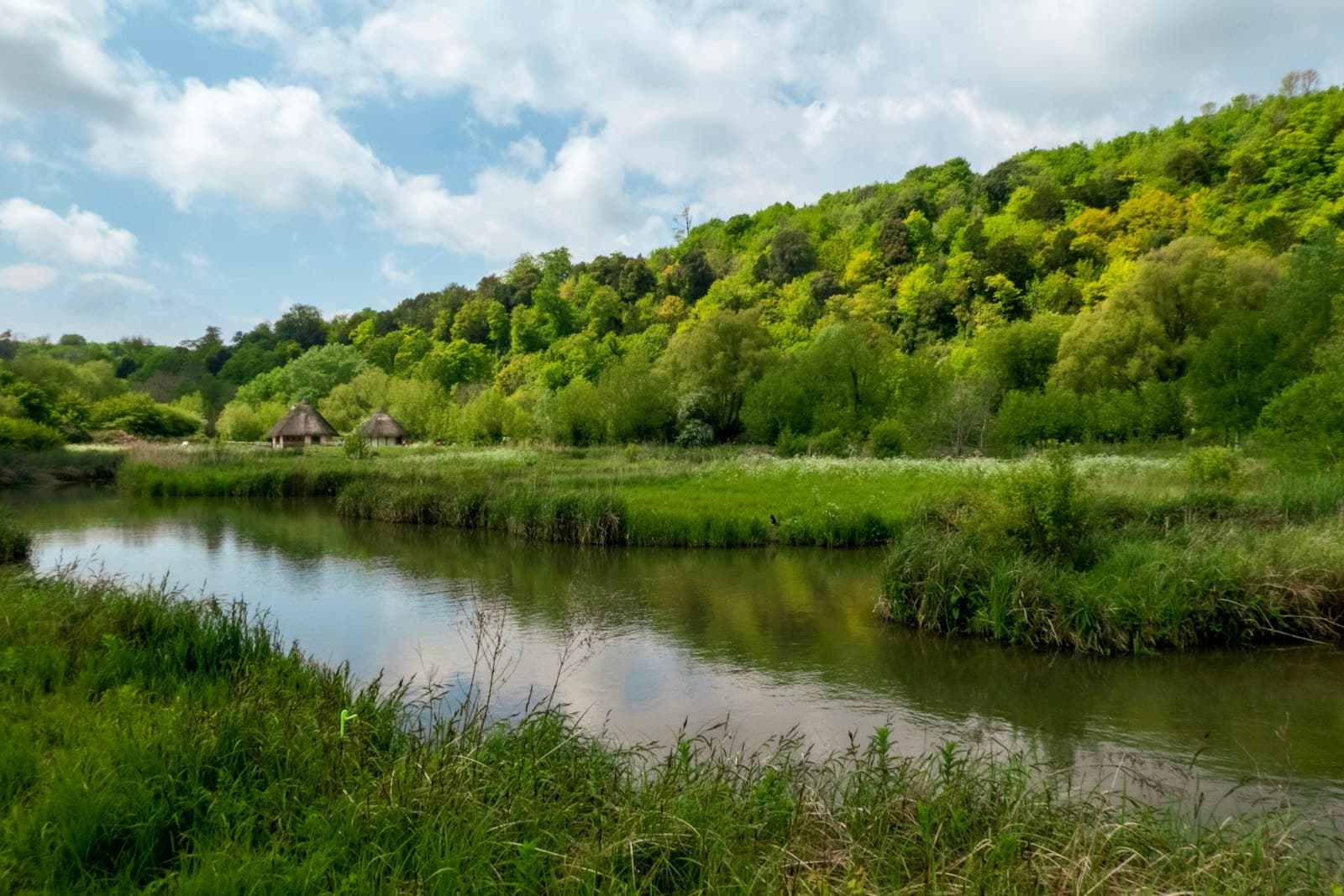 A river winding through British woodland and meadow, representing the nature and climate work the Esmée Fairbairn Foundation funds